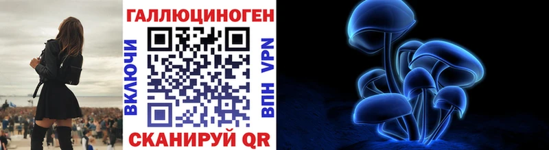 Купить где  Тосно  Галлюциногенные грибы Psilocybine cubensis 